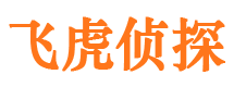 惠民市私家侦探